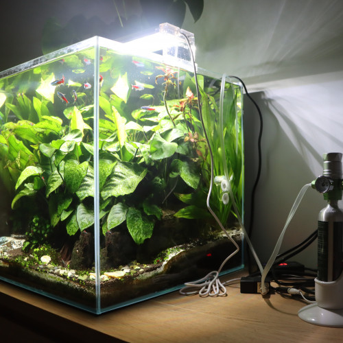 Aquarium + livestock+ hardscape + plants + equipment