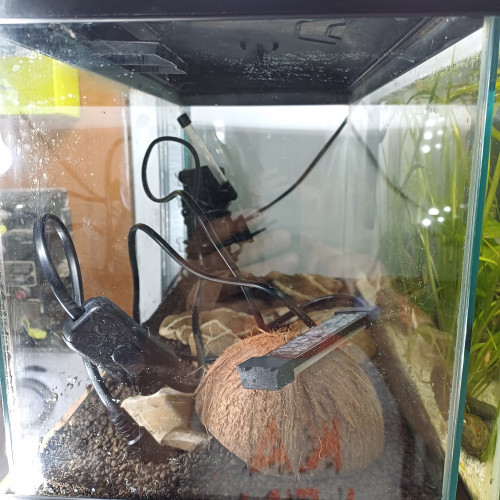 Aquarium noir 20L sol technique et tout équipé