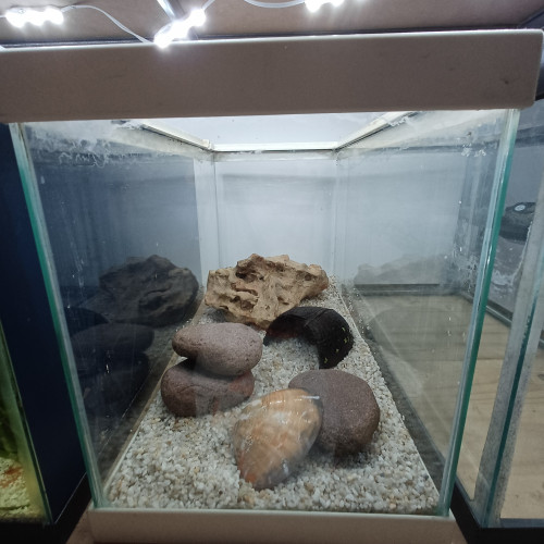 Aquarium 20L blanc entièrement équipé gravier blanc