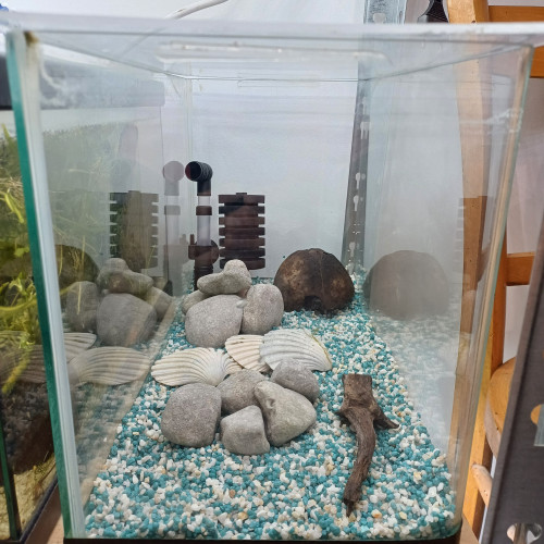 Aquarium 20L équipé sol neutre gravier blanc et bleu