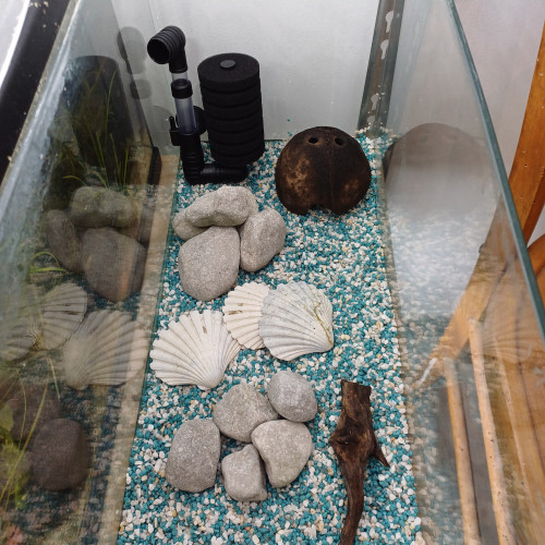 Aquarium 20L équipé sol neutre gravier blanc et bleu