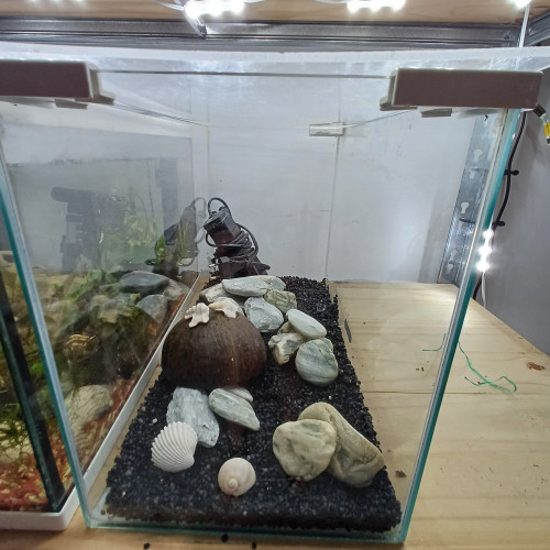 Aquarium 20L entièrement équipé sol neutre noir