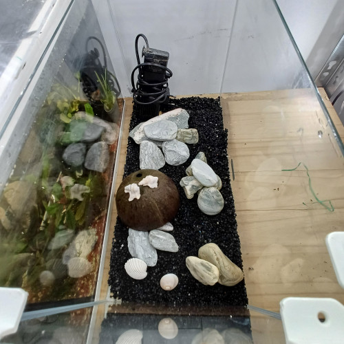 Aquarium 20L entièrement équipé sol neutre noir