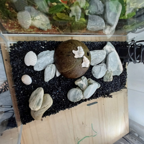 Aquarium 20L entièrement équipé sol neutre noir