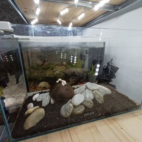 Aquarium 20L entièrement équipé sol neutre noir