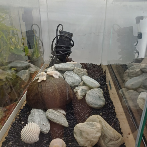 Aquarium 20L entièrement équipé sol neutre noir