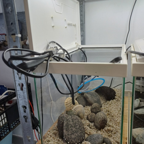 Aquarium blanc 20L équipé sol neutre gravier blanc