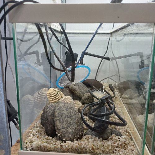 Aquarium blanc 20L équipé sol neutre gravier blanc