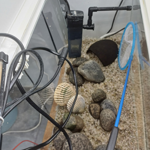 Aquarium blanc 20L équipé sol neutre gravier blanc