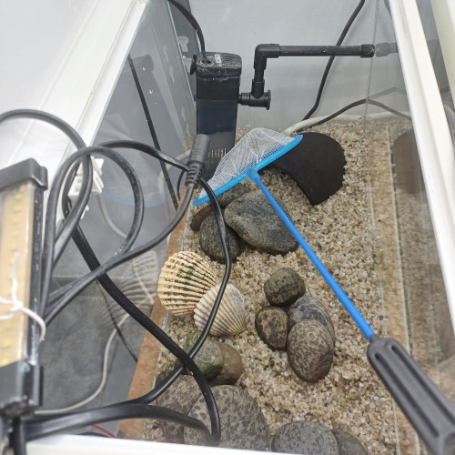 Aquarium blanc 20L équipé sol neutre gravier blanc