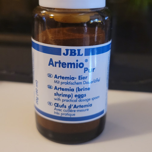 Œufs d’artemia (artemio pur)