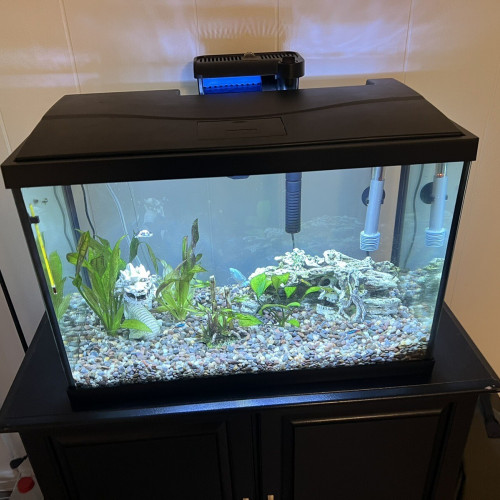 Aquarium + meuble, accessoires a vendre