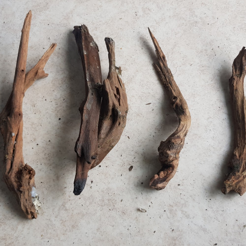 Lot de racines dragon wood