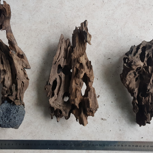 Lot de racines dragon wood