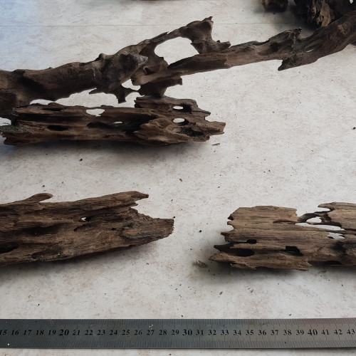 Lot de racines dragon wood