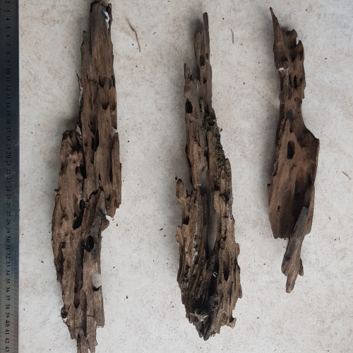 Lot de racines dragon wood