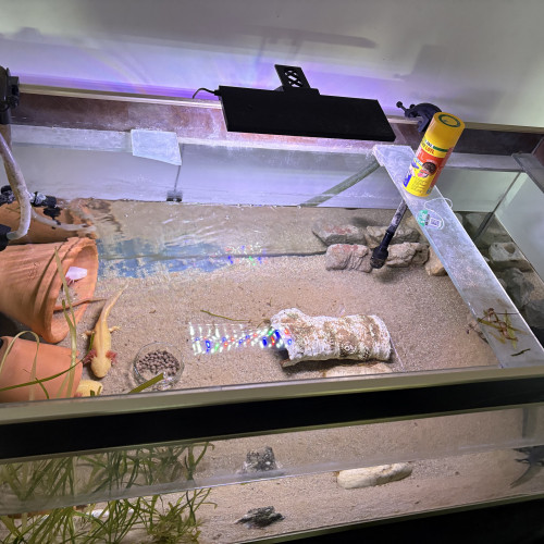 Aquarium 330L