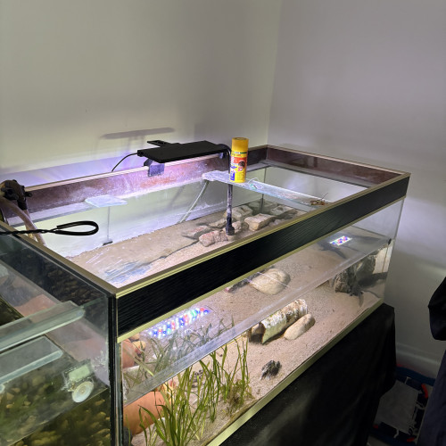 Aquarium 330L