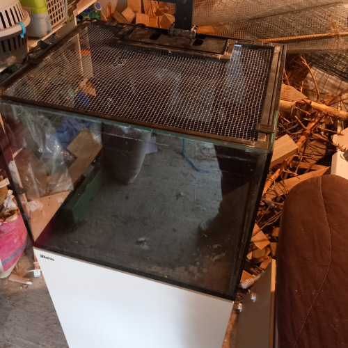 Aquarium recifal