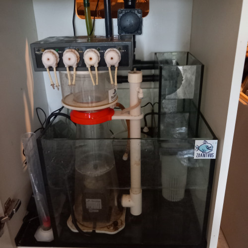 Aquarium recifal