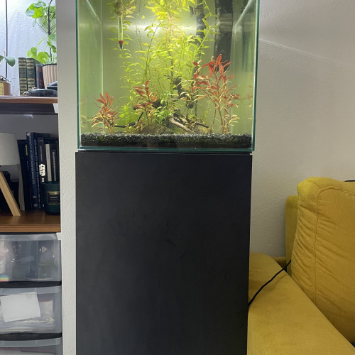 Aquatlantis 54l