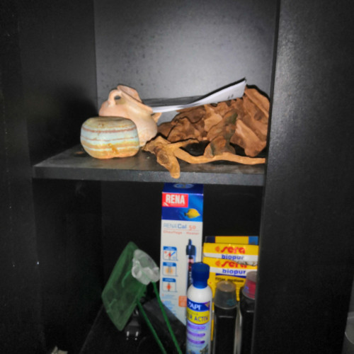 Vends Aquarium 200l avec meuble + filtre + accessoires