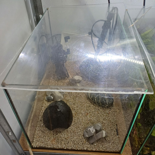 Aquarium 30L sol neutre blanc equipé