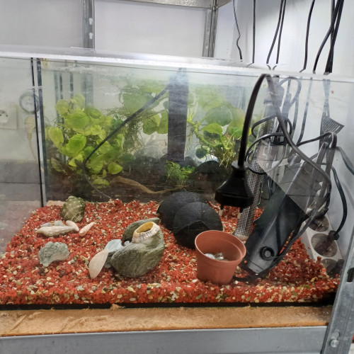 Aquarium 30L sol neutre rouge