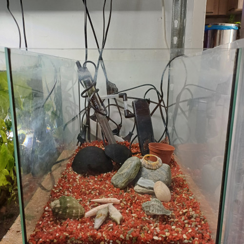 Aquarium 30L sol neutre rouge
