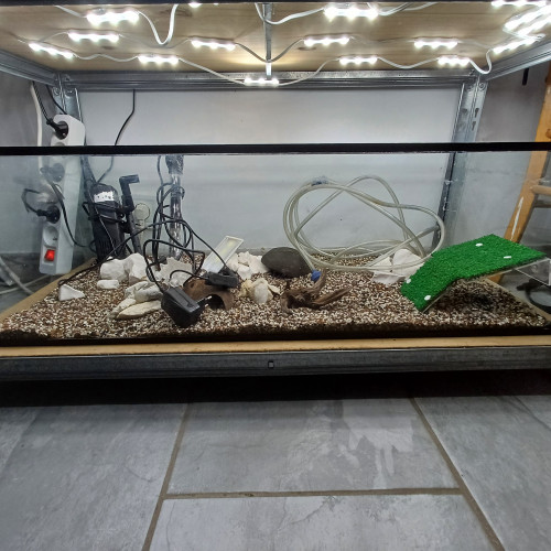Aquarium 80L entièrement équipé