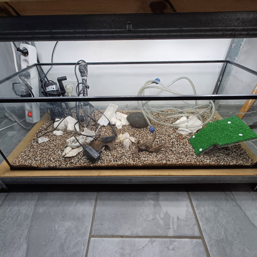 Aquarium 80L entièrement équipé