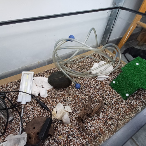 Aquarium 80L entièrement équipé