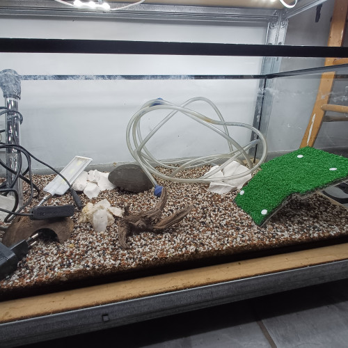 Aquarium 80L entièrement équipé