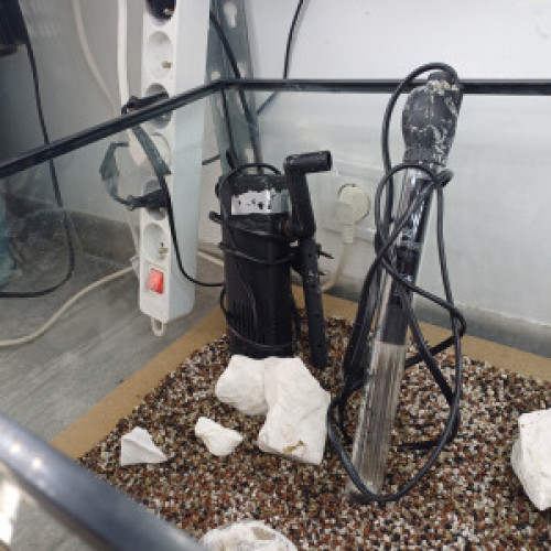 Aquarium 80L entièrement équipé