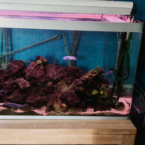 Donne aquarium complet