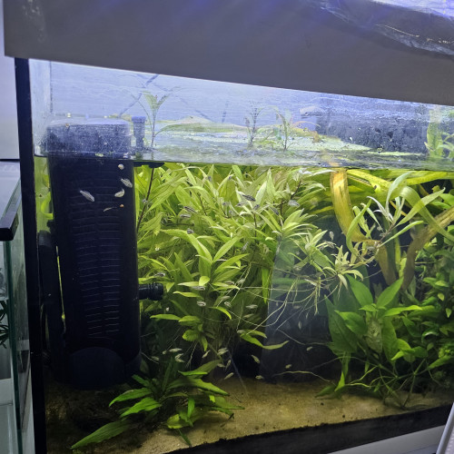 Aquarium blanc 136L opportunité !