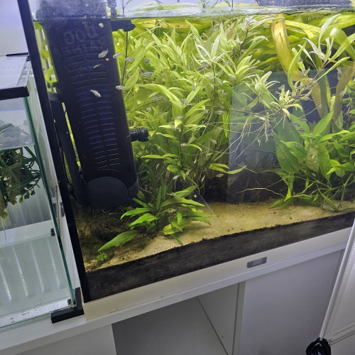 Aquarium blanc 136L opportunité !