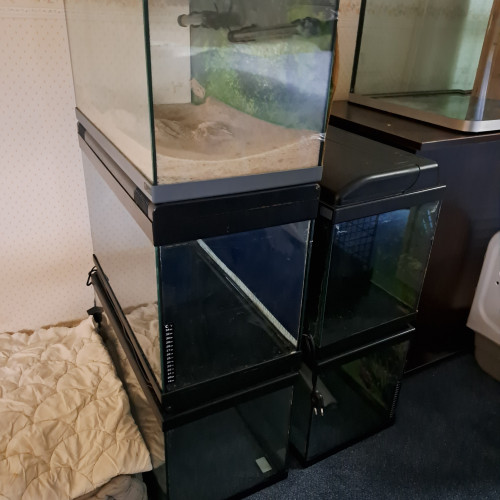 Cuves 60L pas cher !