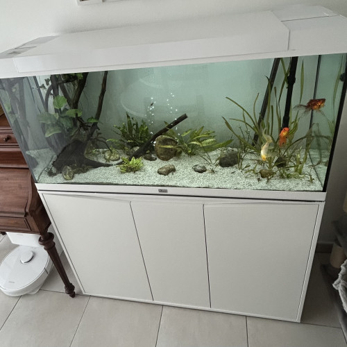 Aquarium Aquatlantis Splendid 120 (240L) avec meubles + filtre externe JBL Cristalprofi e1502 + éclairage LED