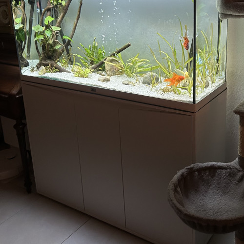 Aquarium Aquatlantis Splendid 120 (240L) avec meubles + filtre externe JBL Cristalprofi e1502 + éclairage LED