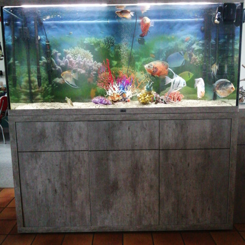 aquarium aquatlantis avec son meuble