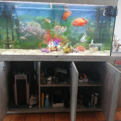aquarium aquatlantis avec son meuble