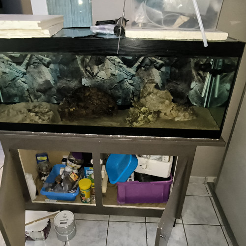 Aquarium + meuble