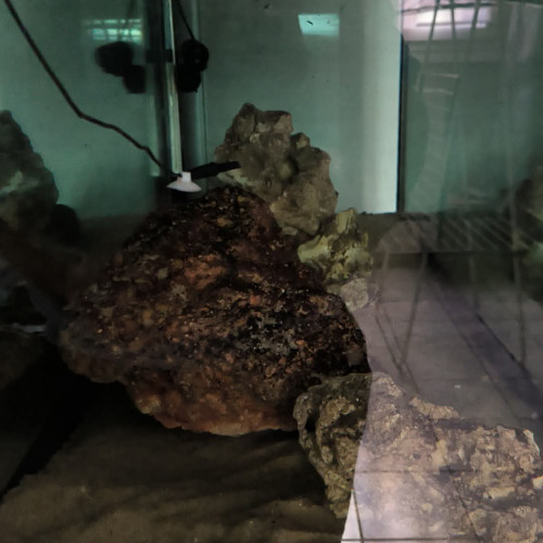 Aquarium + meuble