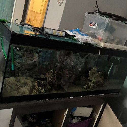 Aquarium + meuble
