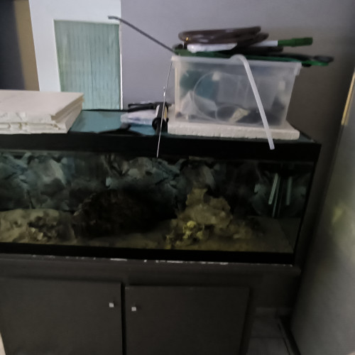 Aquarium + meuble