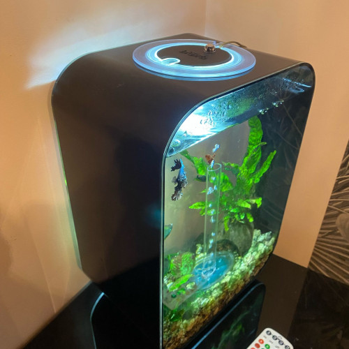 Aquarium Biorb 15 L