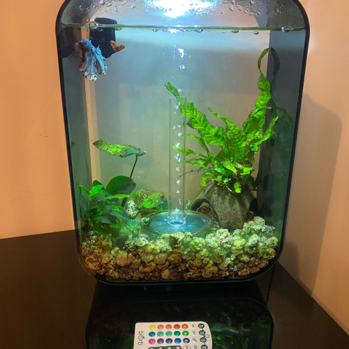 Aquarium Biorb 15 L