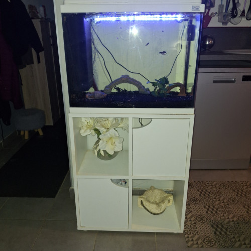 AQUARIUM AQUADISIO 60 L