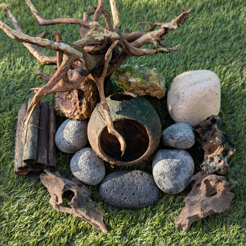 Lollies, plantes, branches, roche, accessoires,...